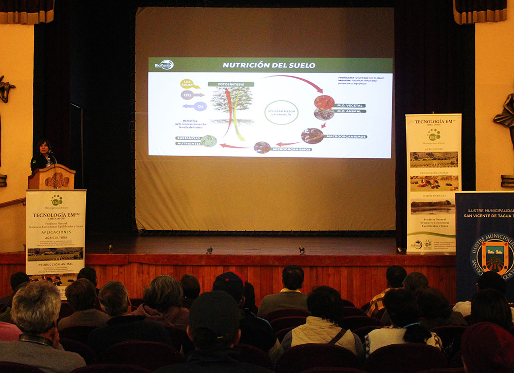 nutricion de suelo