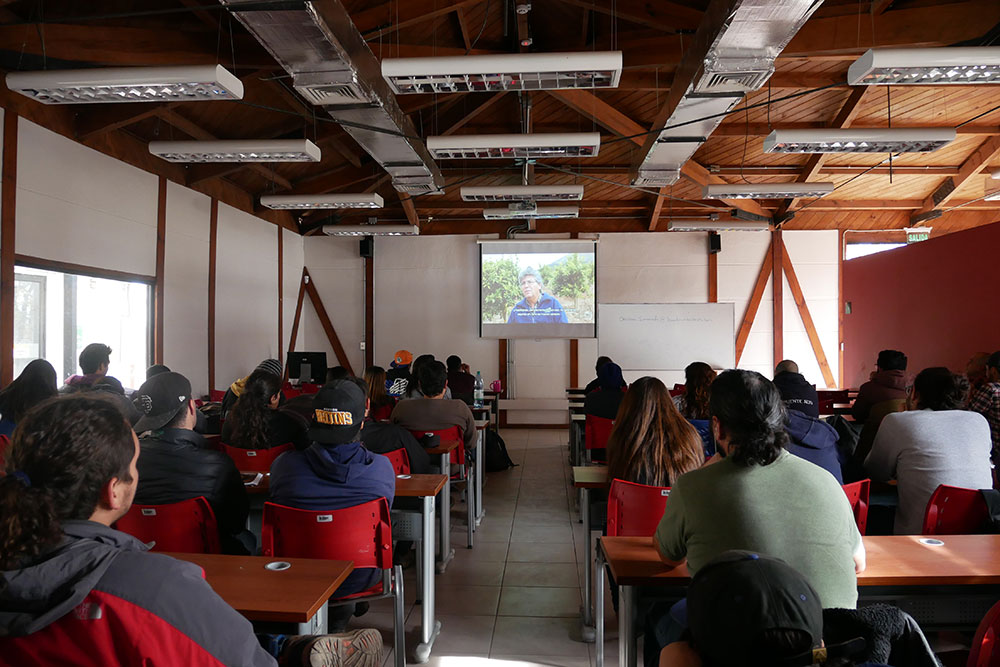 experiencia tecnologia em