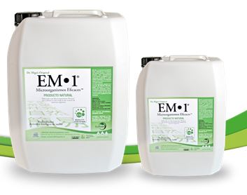 EM 1