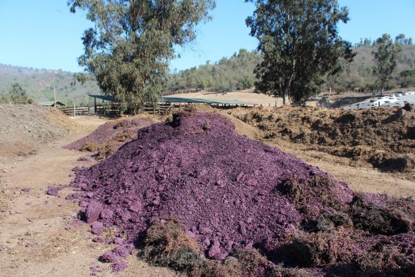 Agricultura residuos de produccion de uva